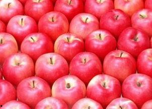 娱乐吃瓜酱苹果下载安装